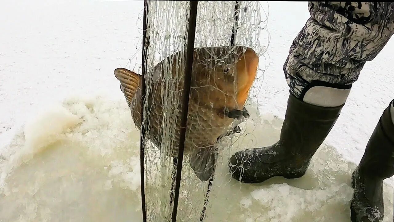 Ловля на хапугу видео. Хапуга для рыбалки. Хапуга для рыбалки зимой. Паук для зимней рыбалки в лунку купить.