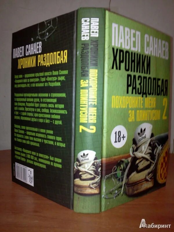 Похороните меня за плинтусом часть 2. Санаев хроники раздолбая. Похороните меня за плинтусом и хроники раздолбая. Хроники раздолбая книга.