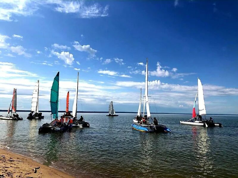 парусная регата. море солнце. включи море 2023. море. море витязево 20.