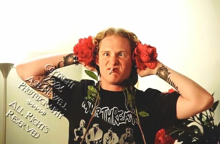 Pulse of the maggots