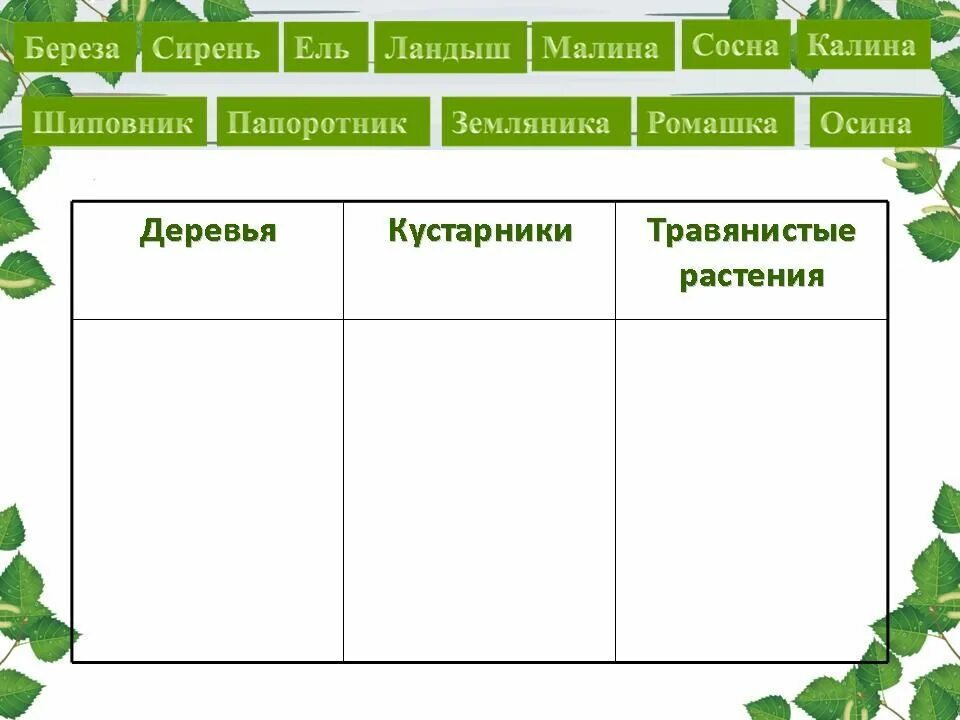 Распределите предложенные растения по группам в зависимости. Классификация растений деревья кустарники травы. Таблица деревья кустарники травы. Группа растений кустарники. Таблица растения кустарники травы.