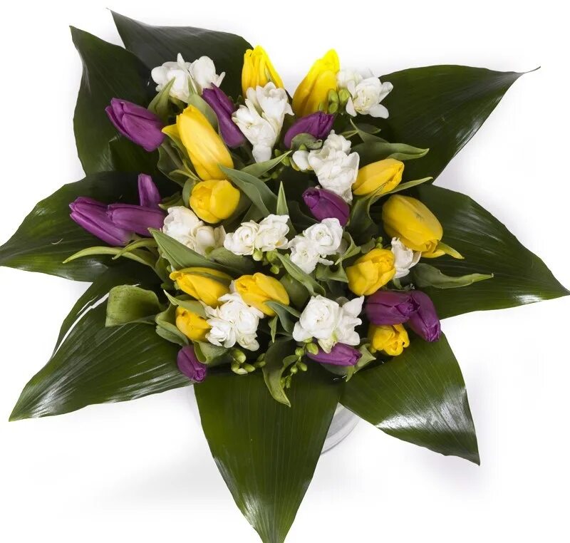 Антонич сантини. Букет орхидей и медведь. Букет орхидей на белом фоне. Букет из альстромерии и гипсофилы. Ассиметричные букеты с орхидеями.