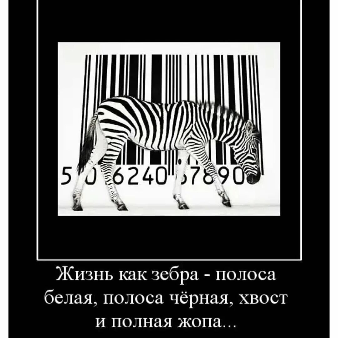 Началась белая полоса в жизни. Чёрная и белая полоса в жизни. черно белые полосы в жизни цитаты. полоса черная, полоса белая. черно белая полоса в жизни.