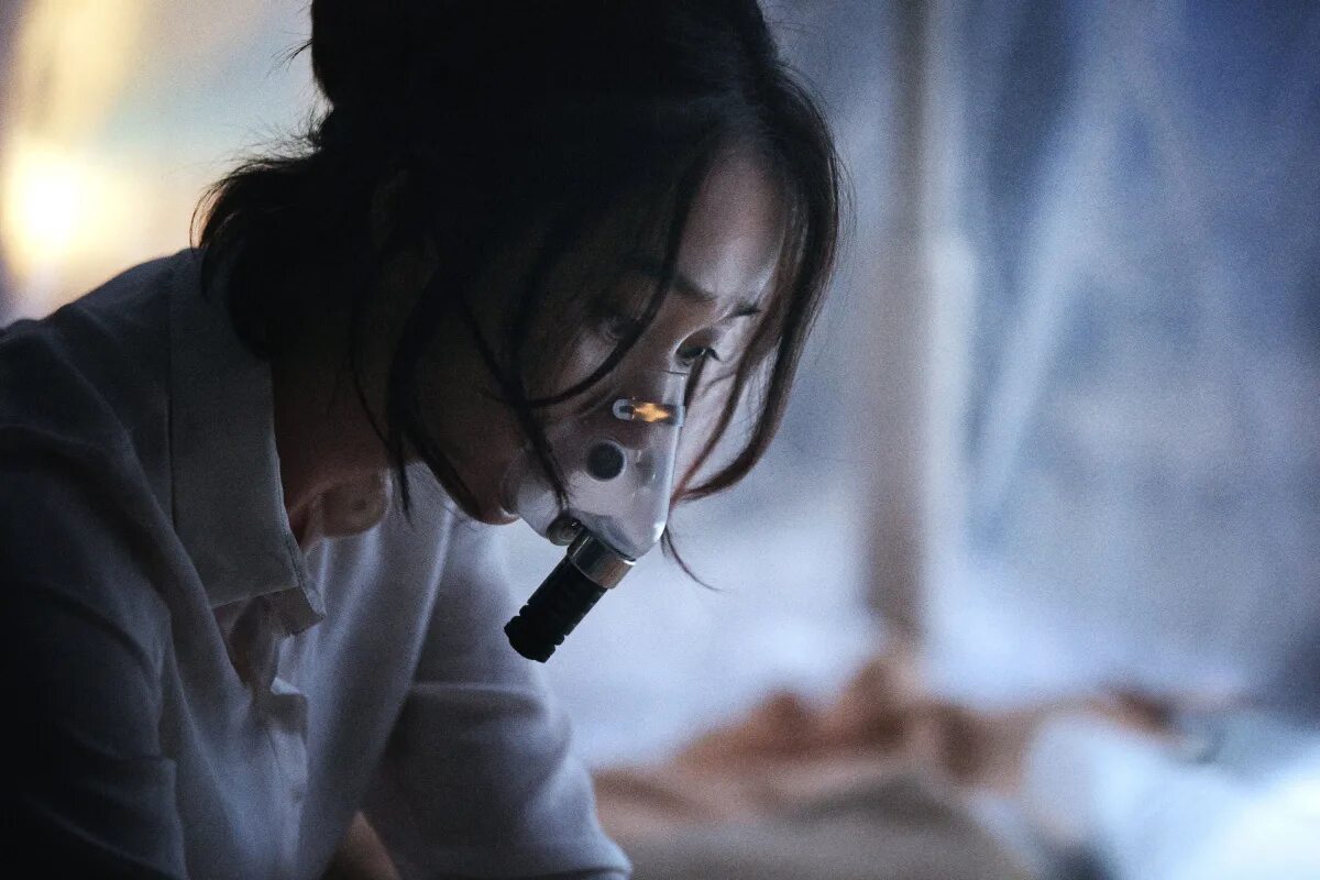 вирус 2013 года