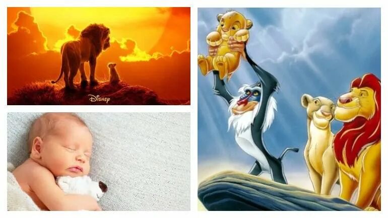 новорожденные львята. чтобы ребенок родился львом. новорожденные львята. чтобы ребенок родился львом. знак зодиака лев год тигра.