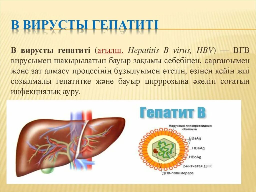 Гепатит б название. Вирусные гепатиты. Презентация на тему гепатит. Вирусный гепатит печень.