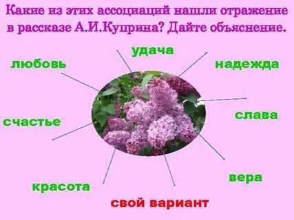 Куст сирени какая любовь