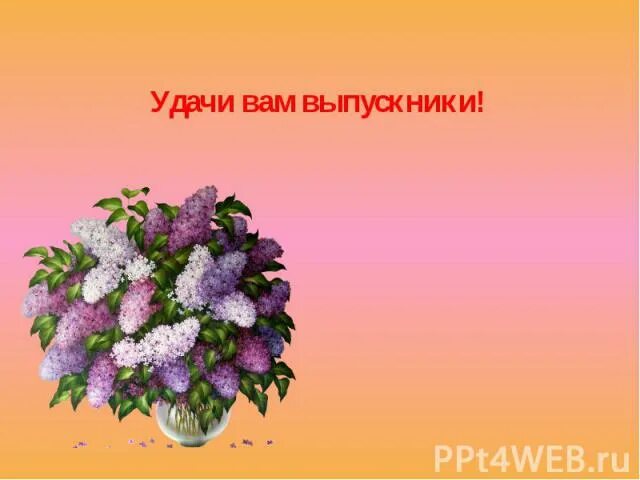 удачи вам выпускники. удачи выпускник. удачи вам выпускники фон. удачи вам выпускники кричалки. открытка с выпускным в школе.
