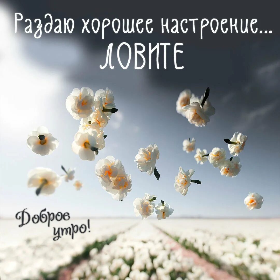 Доброе утро позитивные необычные со смыслом пожелания. Доброе утро удачного дня и отличного настроения со смыслом. доброе утро позитивные необычные новые с пожеланиями. здравствуй новый день картинки с надписями. светлого утра хорошего настроения.