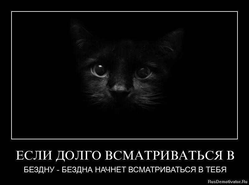 Давно начали. Если долго всматриваться в бездну. Вглядываться в бездну. Если долго всматриваться в бездну бездна. Если долго вглядываться в бездну бездна начинает вглядываться в тебя.