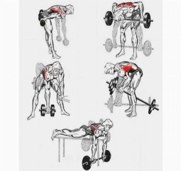 Поясница гантели. Упражнения для накачивания мышц спины. Тренировка широчайших мышц спины гантелями. Прокачка широчайших мышц спины штангой. Упражнения для накачивания спины с гантелями.