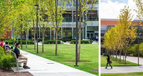Urban university бесплатное обучение отзывы