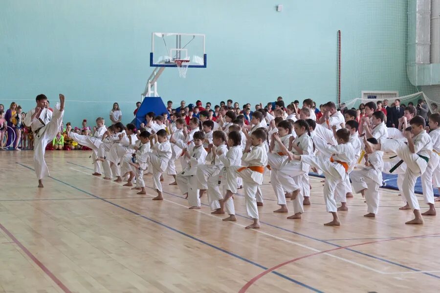 Спортивные кружки. На какие секции можно записаться. На какие секции можно записаться. Спортивные секции в чебаркуле. На какие секции можно записаться.