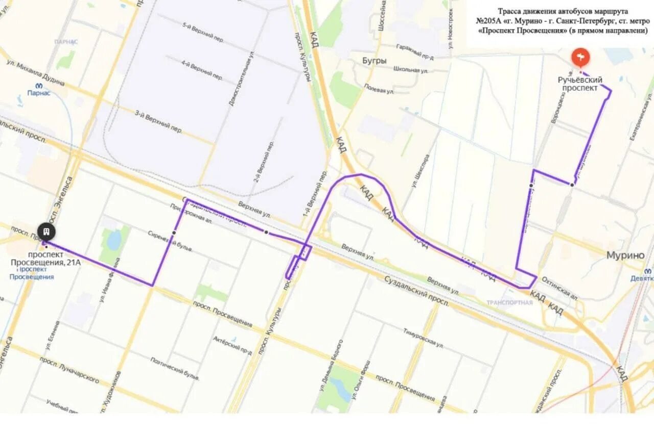 Автобус 205 маршрут на карте. Маршрут 205 автобуса СПБ Мурино. Автобус 205а Мурино Просвещения маршрут. Маршрутка 205 Девяткино. Автобус 205а Мурино Просвещения.