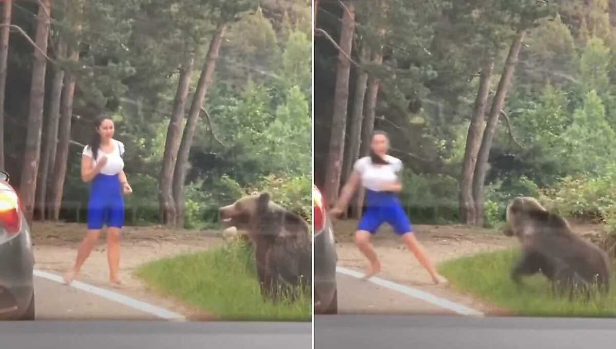 Нападения диких. Медведь фото.