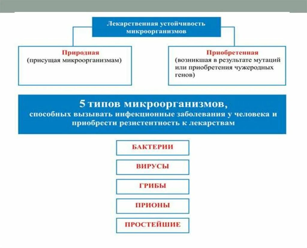 Виды лекарственной устойчивости микроорганизмов. Резистентность микроорганизмов. Лекарственная резистентность бактерий. Лекарственная устойчивость бактерий. Методы резистентности