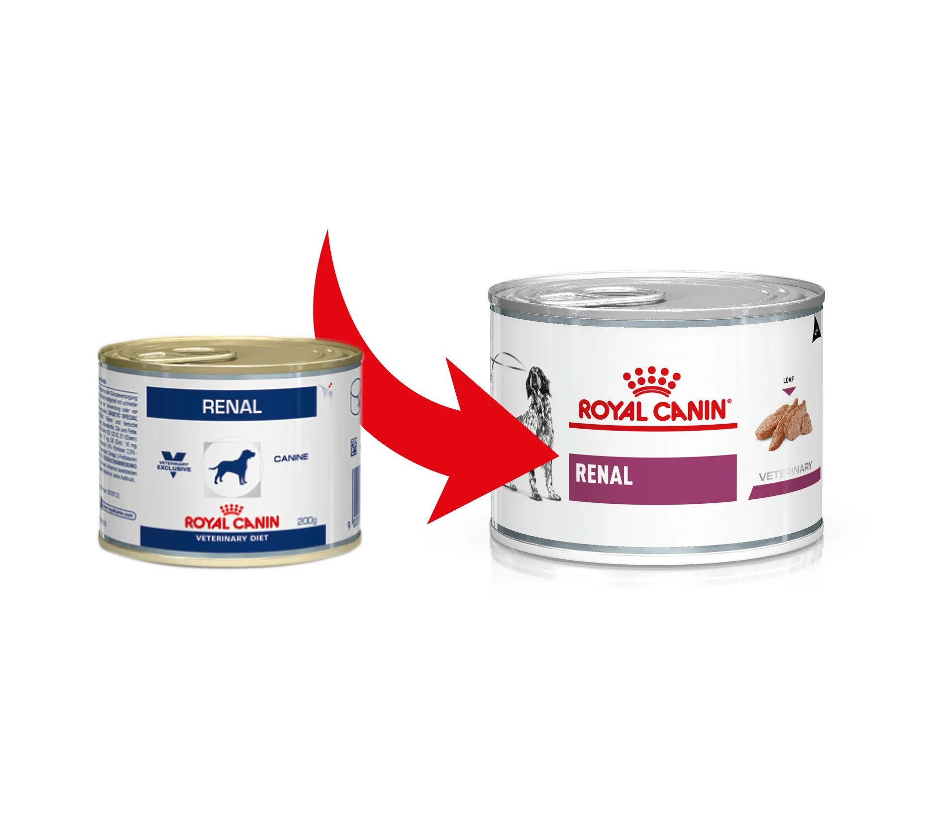 Canin recovery для кошек