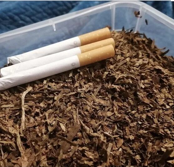 Куплю табак для сигарет вирджиния. Табак Burley, Virginia. Сигаретный табак Мальборо. Табак сорт Берли. Burley табак для самокруток.
