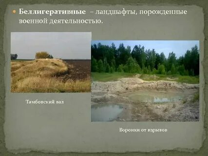 К природным ландшафтам относятся