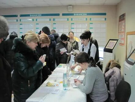 Баннеры для центра занятости населения. Центр занятости населения ногинск. Биржа труда ногинск. Биржа труда ногинск. Великобритания центр занятости.