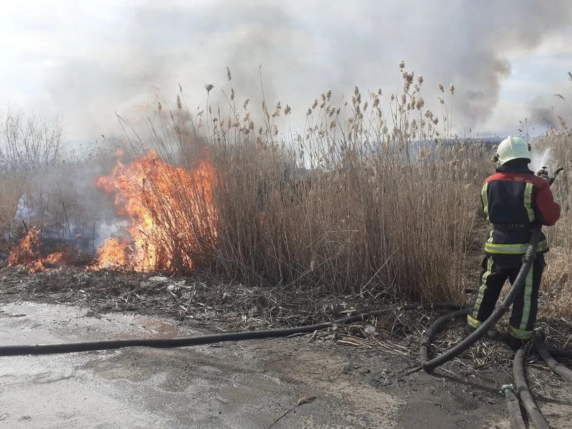 Сжигания картофельной ботвы зола. Пожары в карелии 2021. Сгорела как лоза. Большая пурга игринский район. Сгорел склад куртов в узбекистане.
