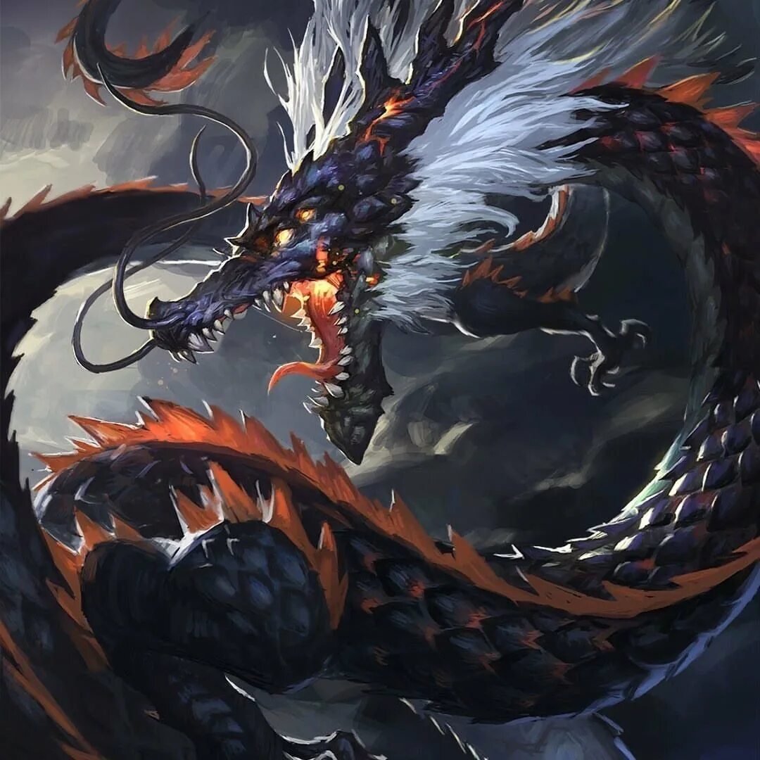 Сюаньлун дракон китайский дракон. Черный Сюаньлун. Повелитель драконов Риндзин. Сюаньлун арт. Как украсть дракона