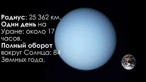 Год урана в земных годах