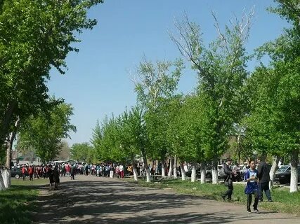 Погода киевка татарский