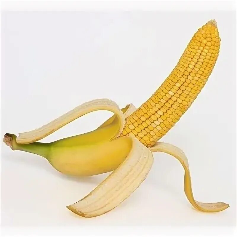 банан кукуруза. дикий предок кукурузы. кукурузный банан. слоган про банан. странные предметы.