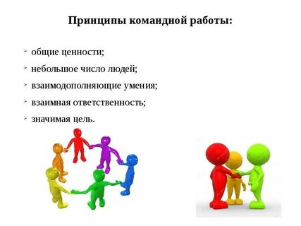 Объединение людей совместно реализующих программу или цель