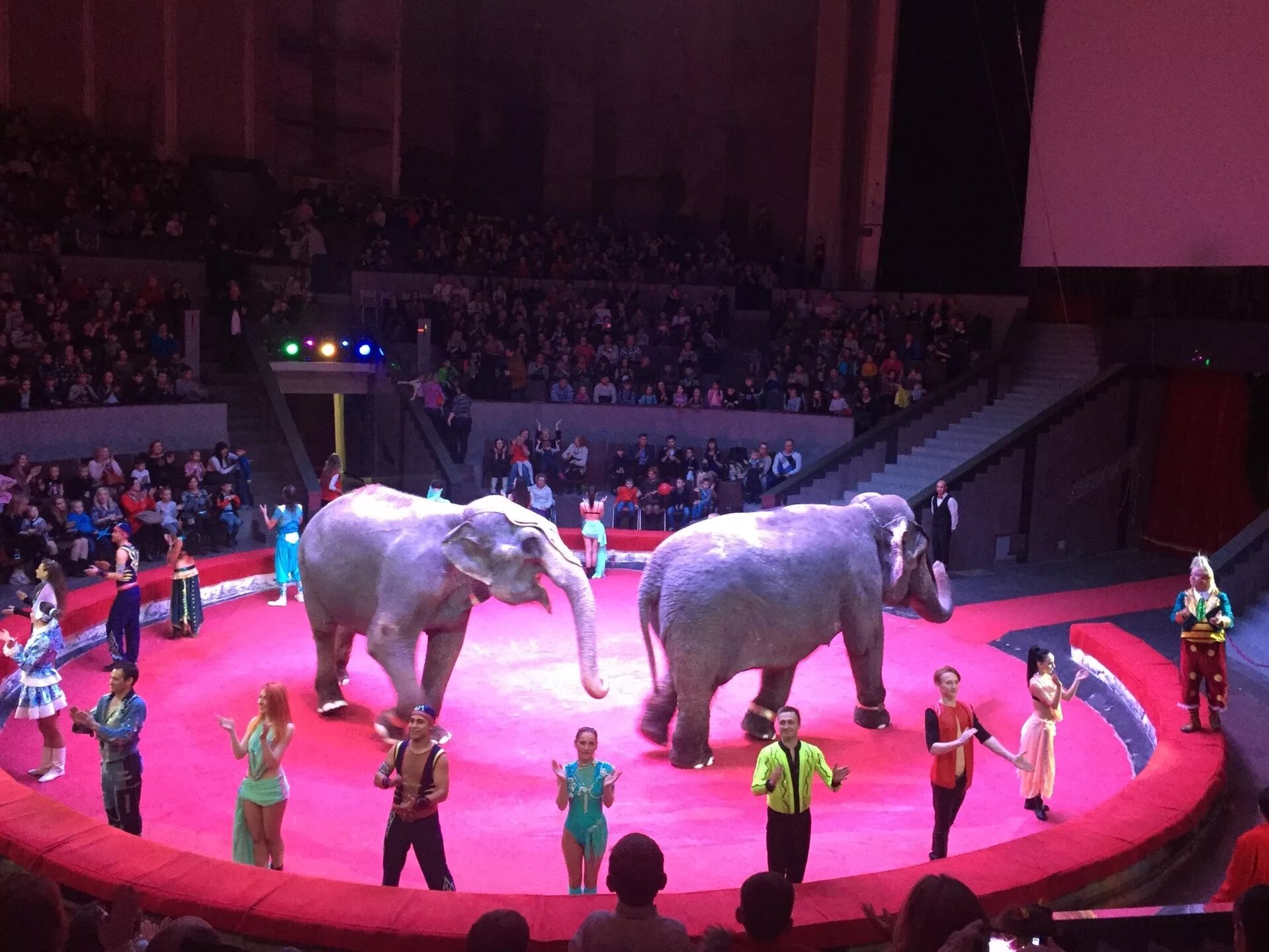 госцирк новосибирск. цирк нск. цирк нск. новосибирский цирк достопримечательности новосибирска. цирк нск.