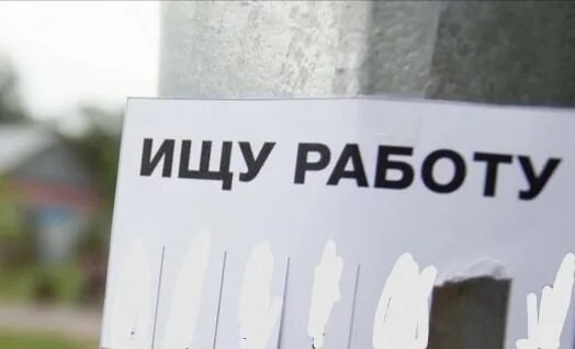Какую работу ищешь. Ищу работу. ищу работу картинки. ищу работу подработку. помогу найти работу.