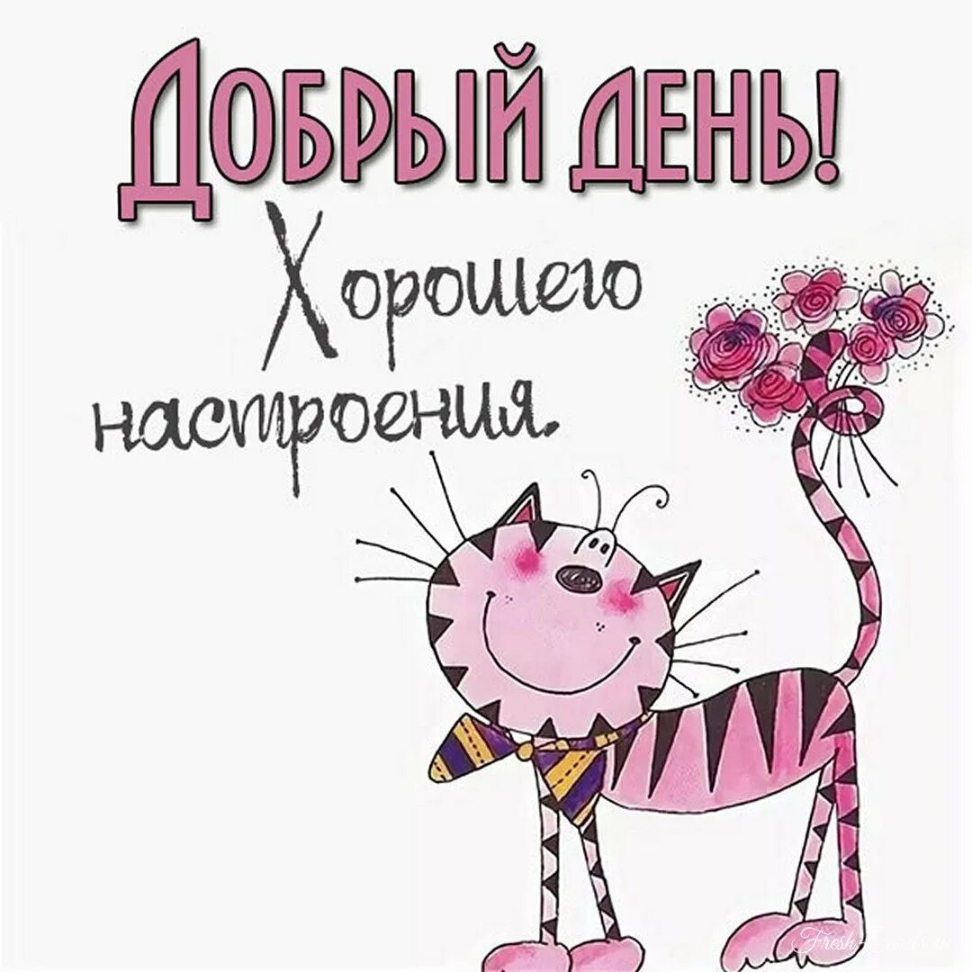 День добрый и отличного настроения картинки прикольные