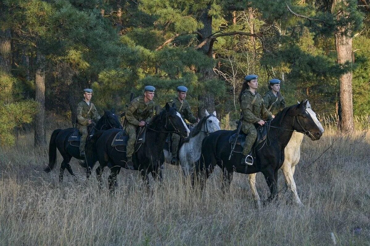 На горячем боевом коне песня. Конная амуниция "кавалерия Тоскана". Пограничник на лошади. Современные кавалеристы. Военная лошадь.