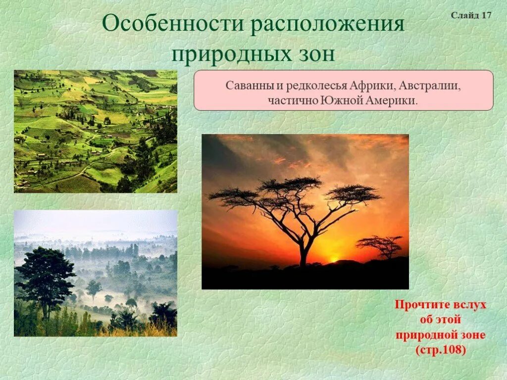 Саванны, редколесья Южной Африки география 7 класс. Зона саванн и редколесий в Южной Америке. Природные зоны саванны 7 класс. Природная зона саванны и редколесья. Природные особенности южных материков