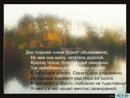 Дни поздней осени бронят обыкновенно