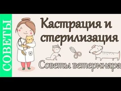 Что дает кастрация