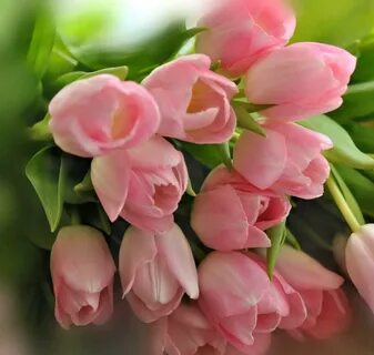 Женщина открытка с днем рождения тюльпаны