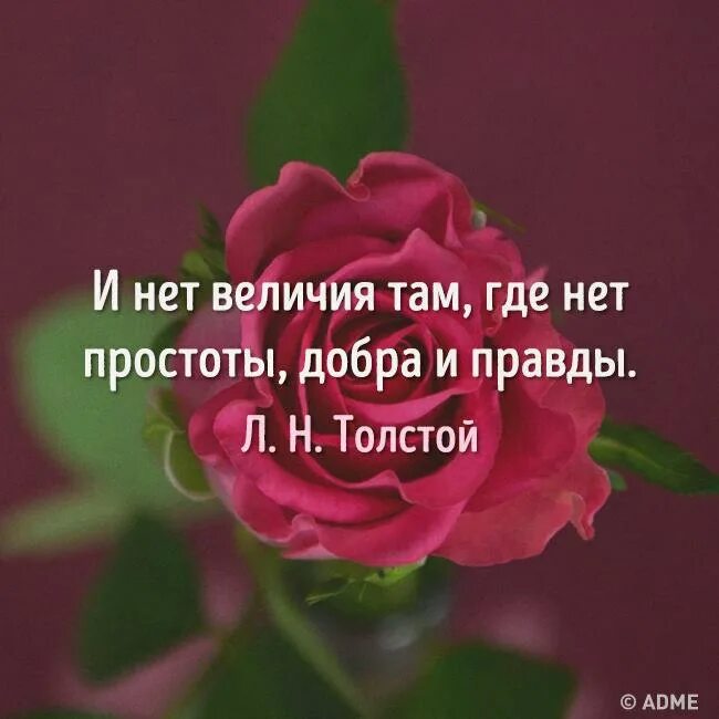 Толстой нет величия там. Нет величия там где нет простоты добра. где нет простоты добра и правды. толстой простота добро и правда. простота доброта и правда.