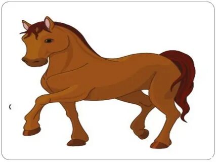 Қыздар порно туралы