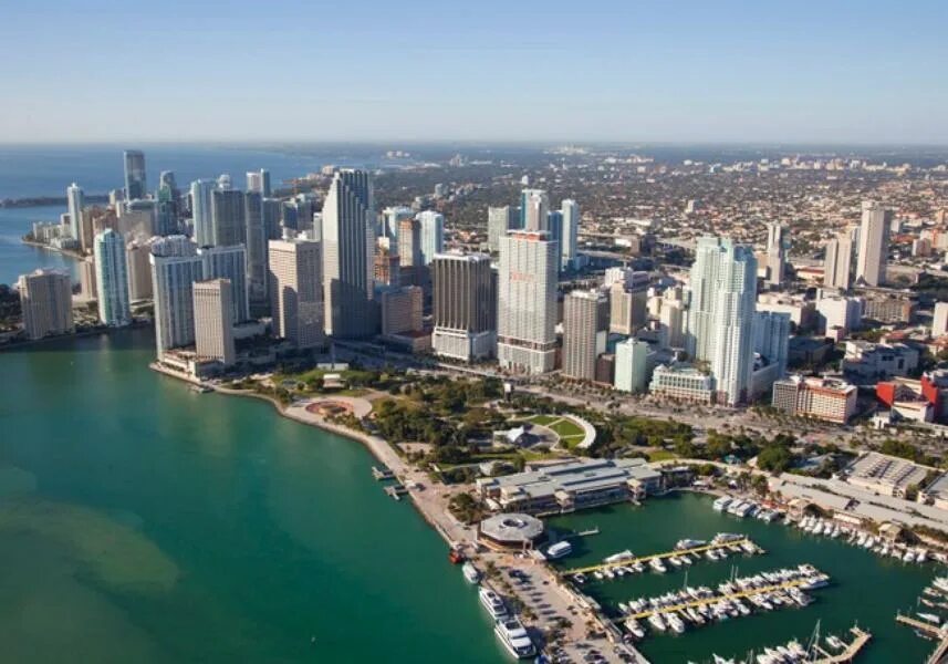 Работа в майами. Даунтаун Майами. Майами центр. Майами Даунтаун фото. The City of Miami Seal.