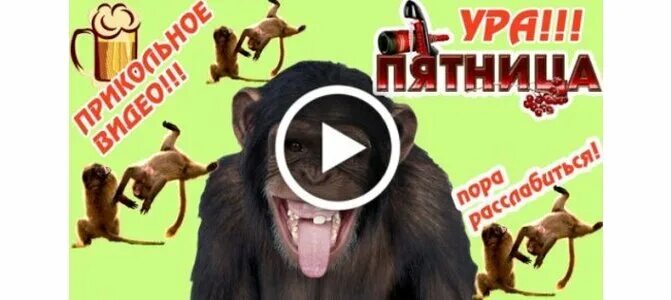 Эфиры сегодня пятница. Пятница смешные картинки. веселые открытки с пятницей. пятница приколы. смешные ролики про пятницу.