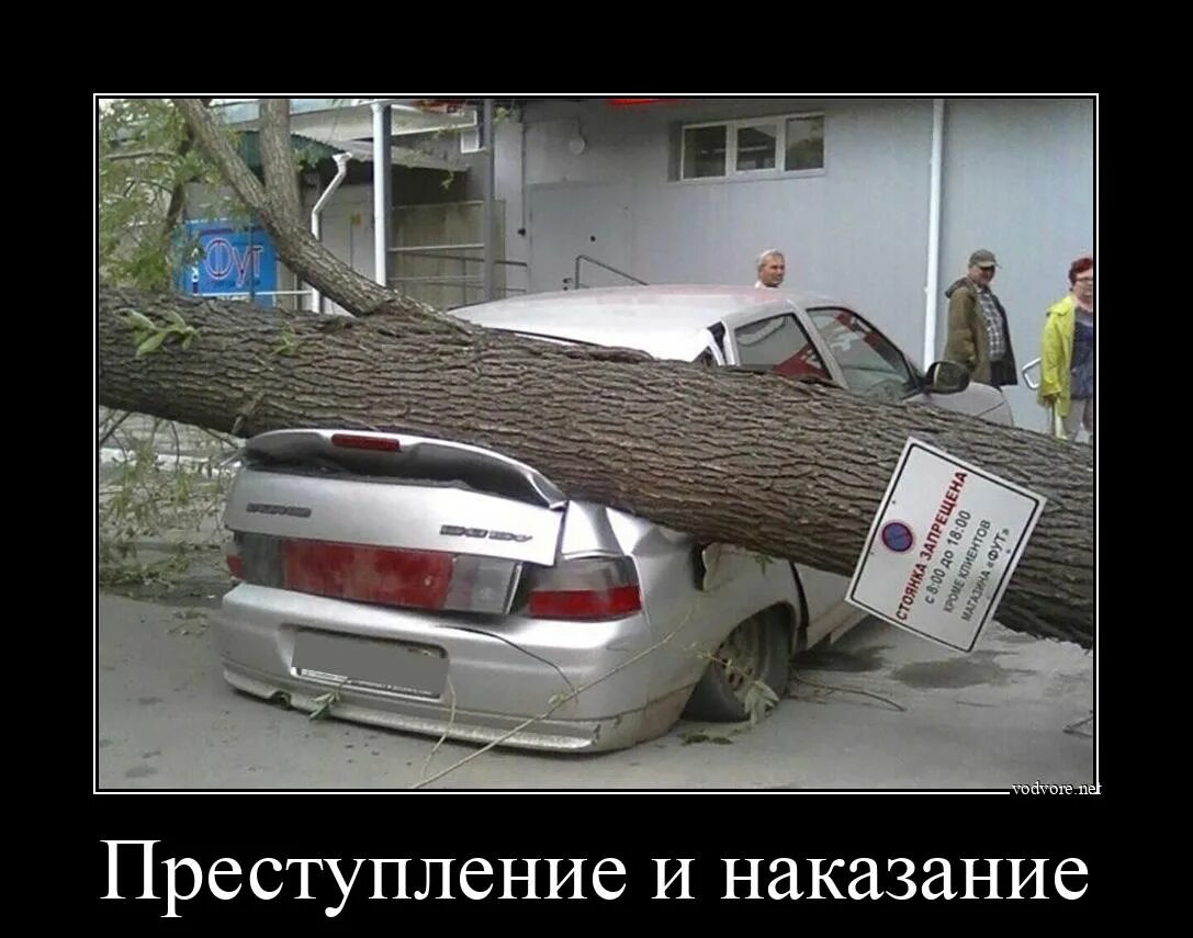 Карма прикол. Карма прикол. Карма демотиватор. Шутки про карму. Цитаты про карму смешные.