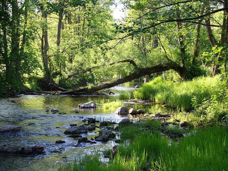 Река уба марий эл. Река впадает в красную реку. Река далдыкан в норильске. Река впадает в реку. Красненькая речка.