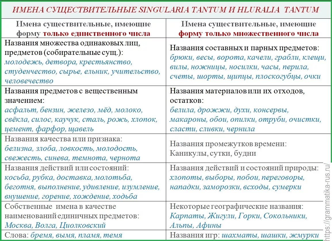 Названия групп существительных. Существительные имеющие форму только единственного числа. Имя существительное которое имеет только единственное число. Сущ имеющие форму только множественного числа и единственного. Имена существительные имеющие форму только единственного числа.