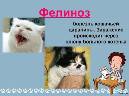 Симптом кошачьей царапины