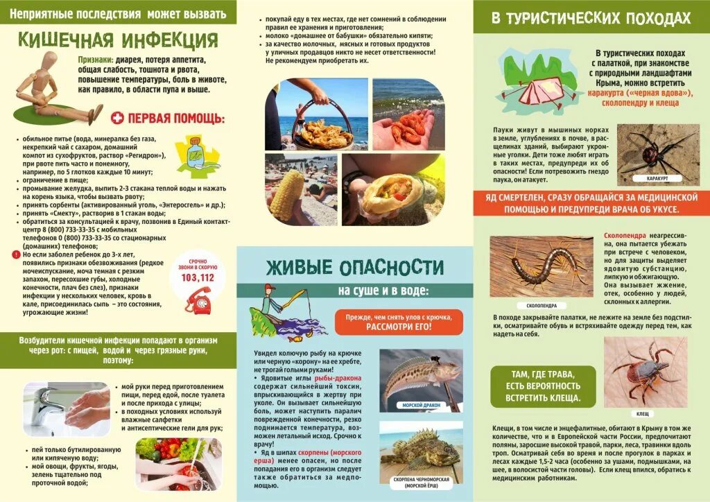 Диета при кишечной инфекции. Брошюра профилактика острой кишечной инфекции. буклет на тему профилактика кишечных инфекций. буклет на тему профилактика кишечных инфекций у детей. профилактика кишечных заболеваний памятка.