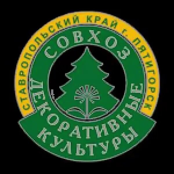Совхоз пятигорск. Совхоз пятигорск