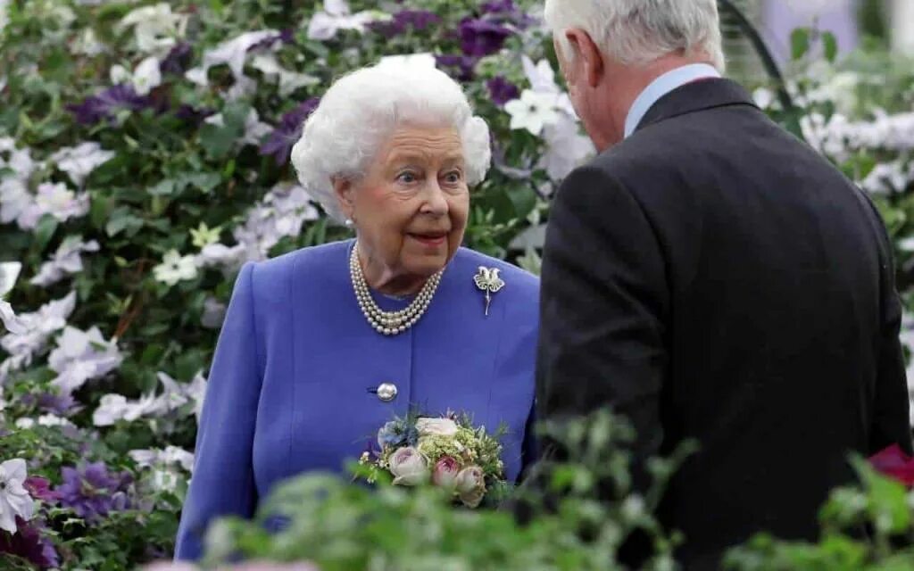 Бабушка Davina Hardman. Королева гуляет в саду. Как гуляют королевы.