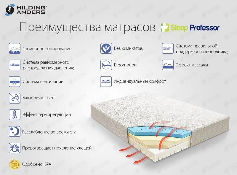 Матрасы сайты производителей. Askona матрас Sleep Professor. Матрас беспружинный 2 шт Sleep Professor. Sleep Professor Jasmine матрас. Матрас Аскона 160х200 доктор.